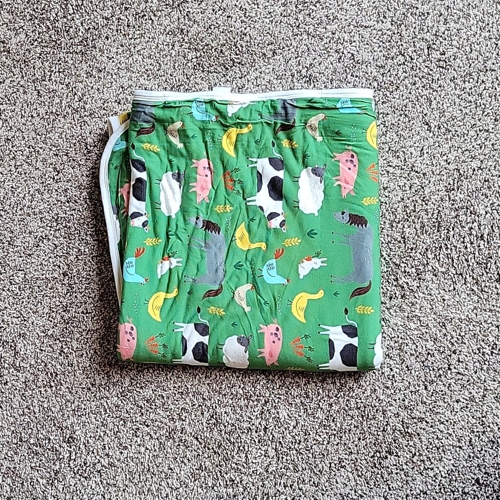 Little sleepies blanket